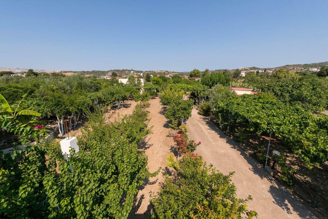 Eleftherias Garden House Афанду Екстер'єр фото